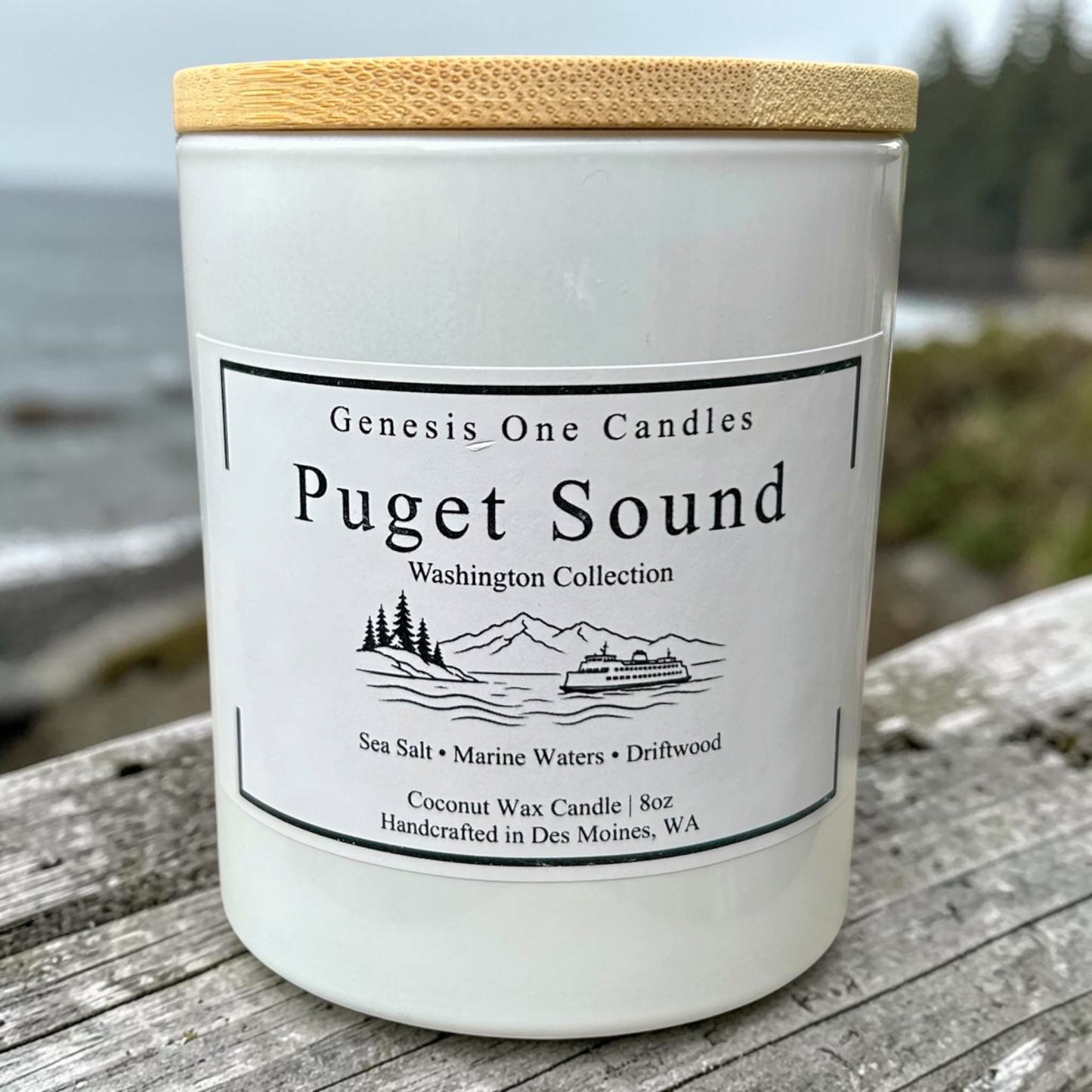 Puget Sound